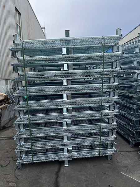 Wire Mesh Cage